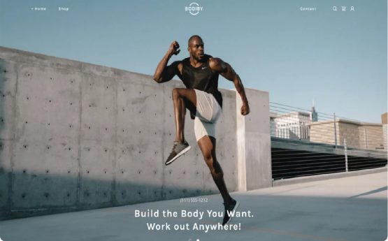 Weba Easy Website Builder